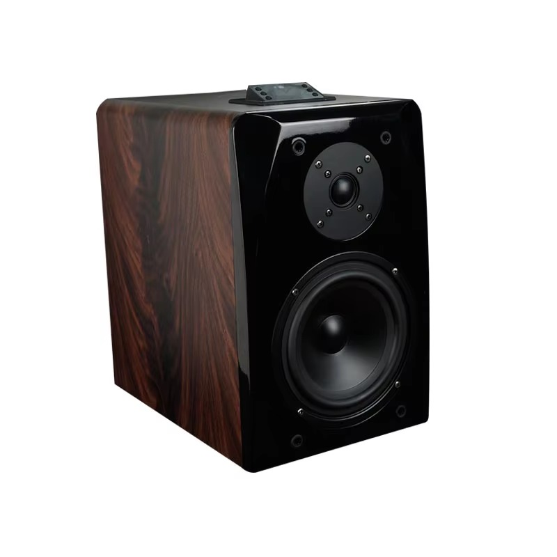 Hoogwaardige actieve karaoke b - Audio Music Dj recensie en prijs