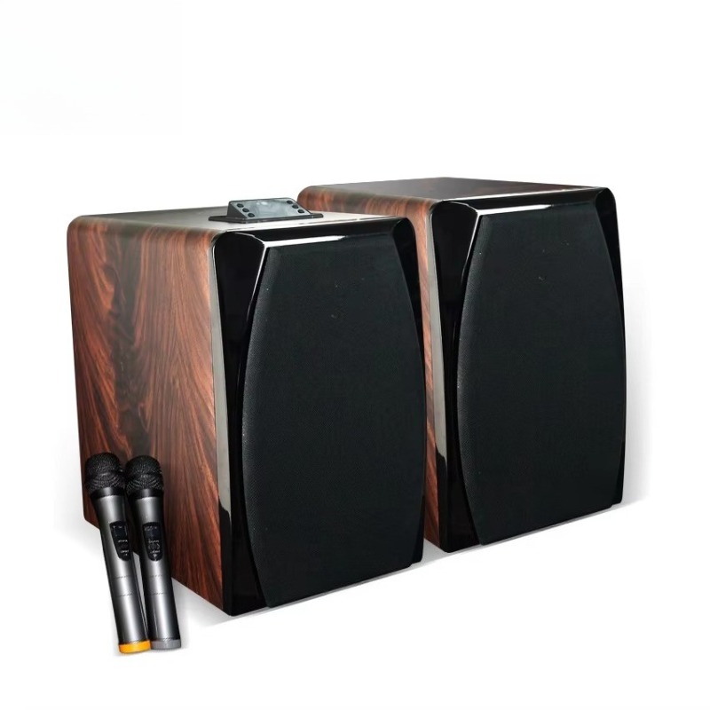 Hoogwaardige actieve karaoke b - Audio Music Dj recensie en prijs